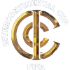 Copa Intercontinental de la FIFA