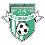 Dukagjini logotipo